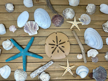 Load image into Gallery viewer, Sand Dollar Trinket